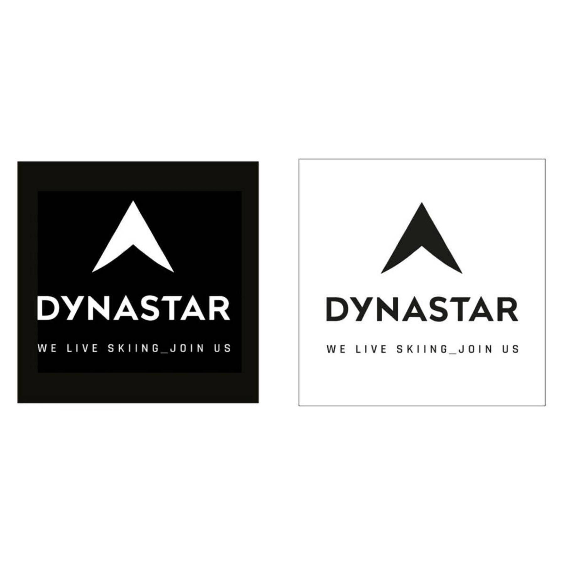 Adesivi Dynastar L10 corporate