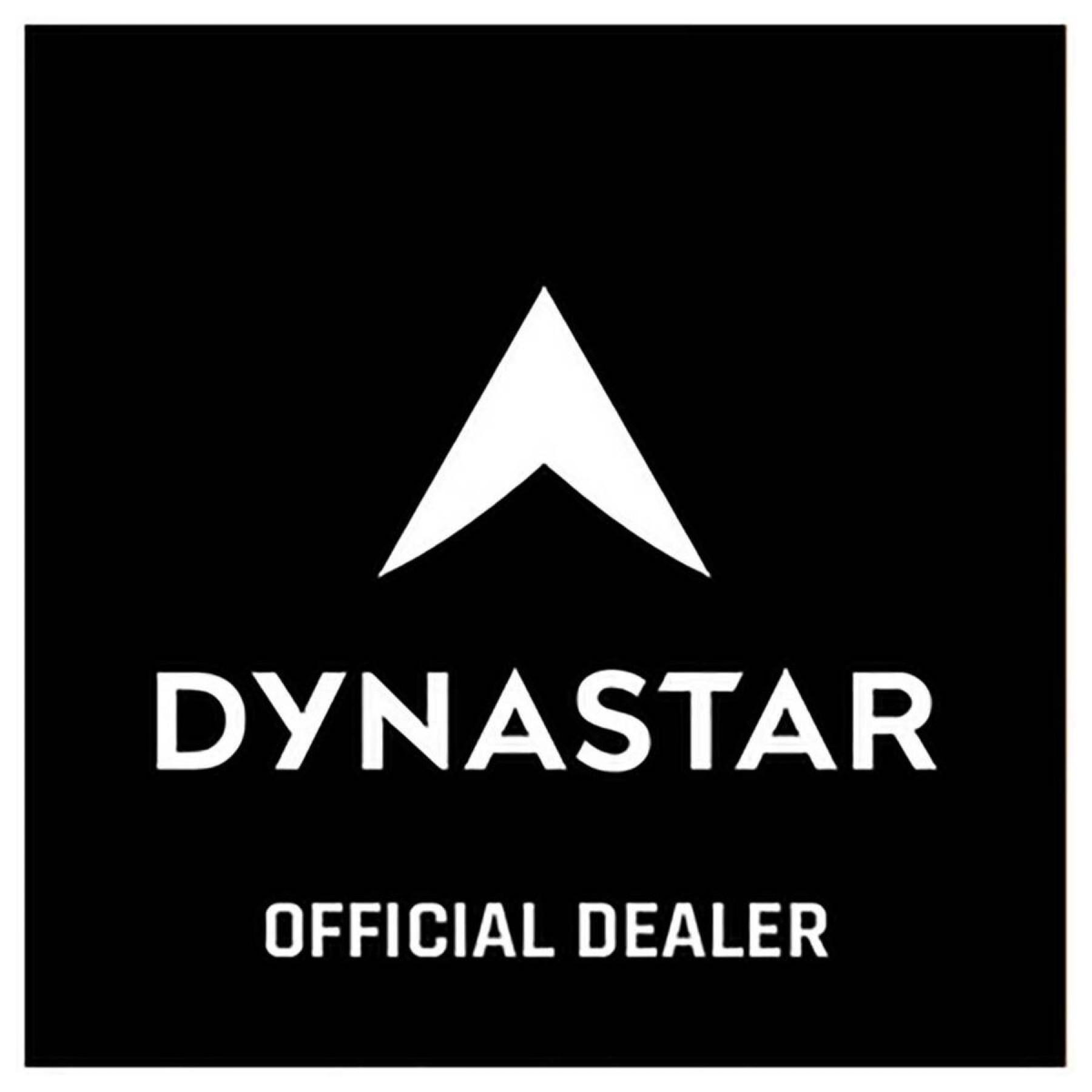 Adesivi Dynastar L2 official dealers