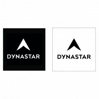Adesivi Dynastar L100 corporate