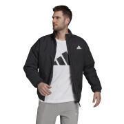 Giacca adidas Back to Sport Light Insulated